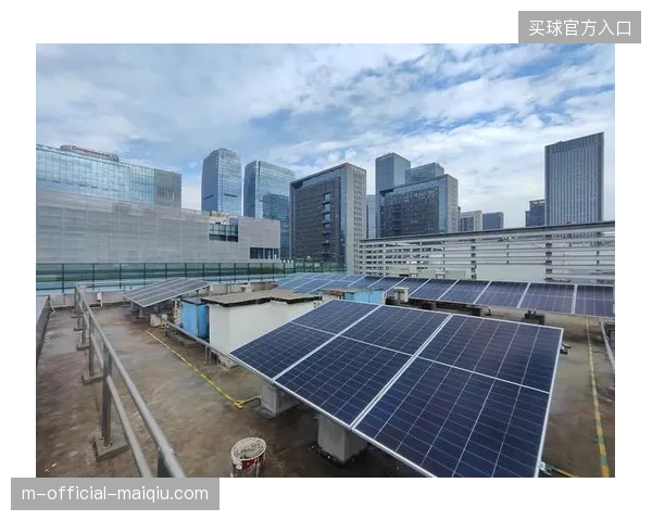 国家速滑馆通过分布式光伏系统抵消赛事全周期电力损耗